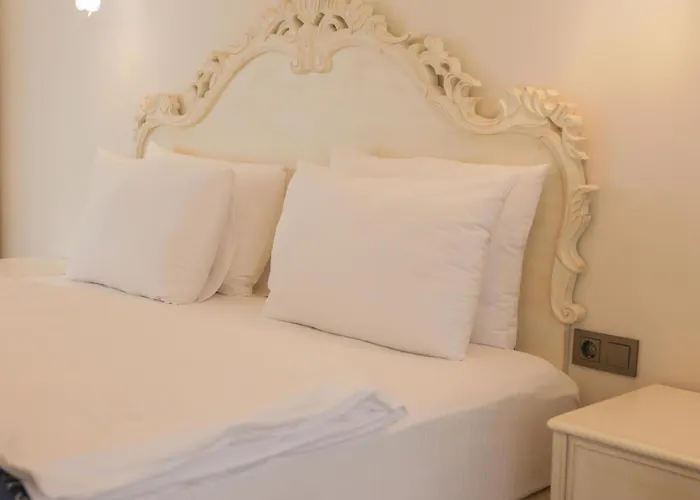 Asiyan Yalisi Hotel *